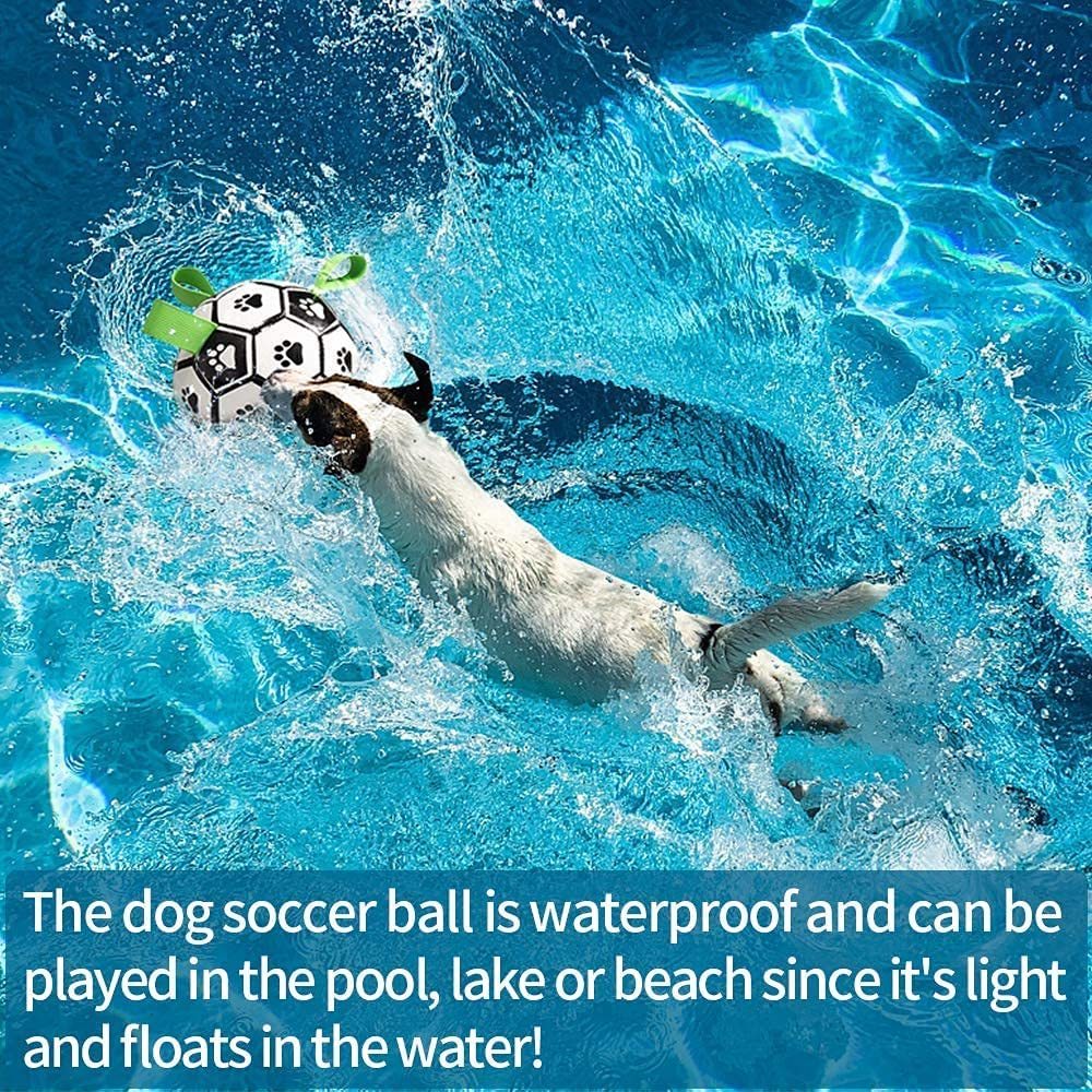 Interactive Dog Football Toy Soccer Ball Inflated