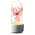 2-in-1 Rose Bouquet LED Night Light with Bluetooth Speaker – Gift in Glass Dome