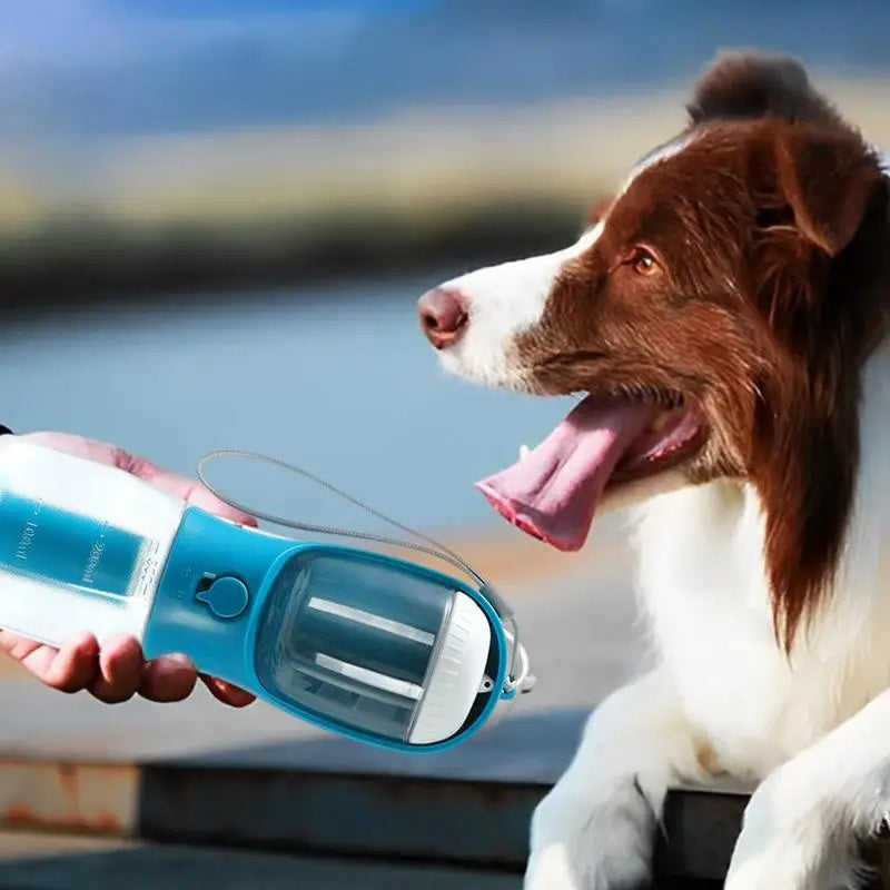 Dog Water Cup Drinking Food Bag