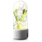 2-in-1 Rose Bouquet LED Night Light with Bluetooth Speaker – Gift in Glass Dome